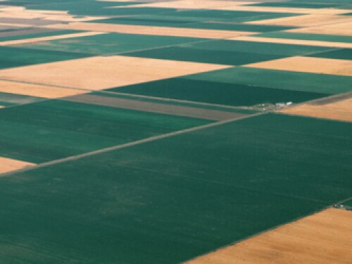 Farmland