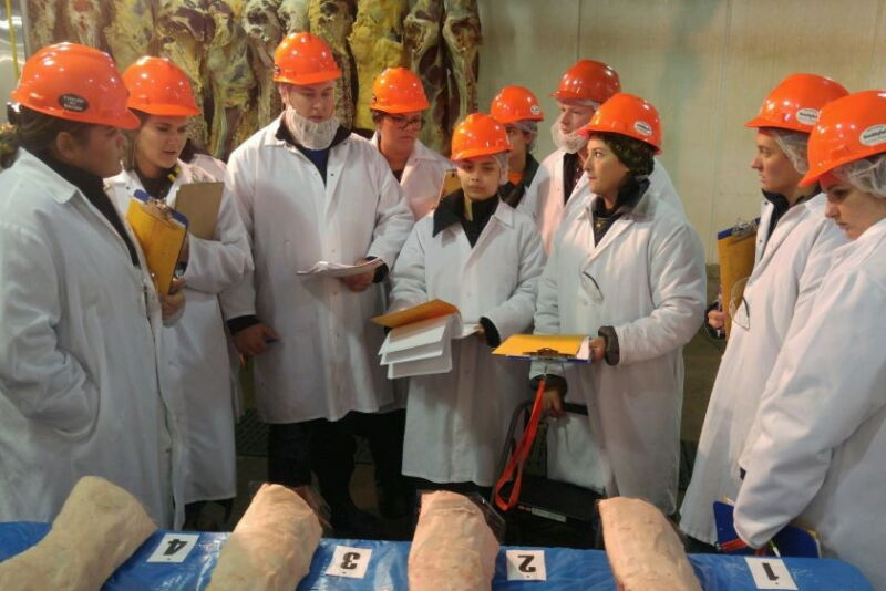 Meat judging