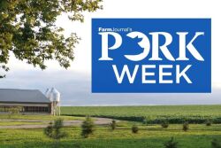 Pig Pork Week 3_0.jpg