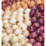 21996759-47EF-47D0-85BBFD5D74B3E52E.png