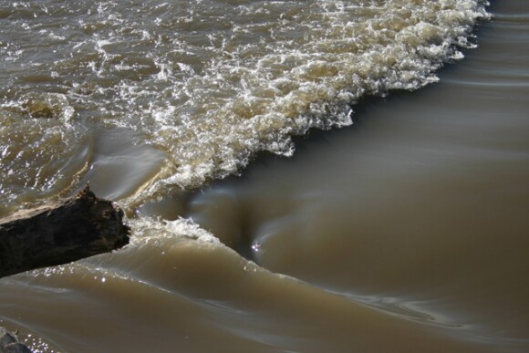 mississippi-river-bank.jpg