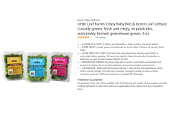 Little-leaf-Amazon.PNG