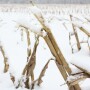 Bad days on the farm can feel like a bad life. The uncontrollables can switch anyone’s mindset from positive to negative, but that long-term outlook can lead to depression, according to Matthews.