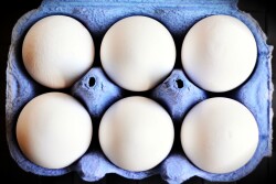Eggs