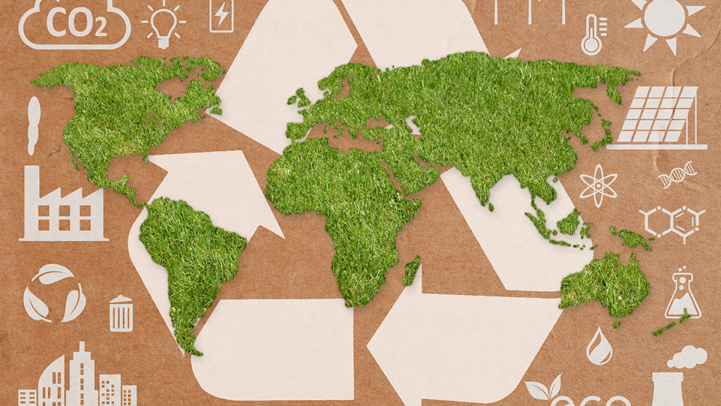 IFPA Unveils Global Road Map for Sustainable Produce - The Packer