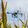 Agras T25 - Corn 2.jpg