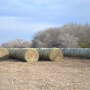 Round Bales