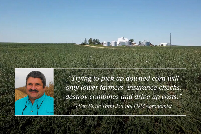 Consider residue, crop rotations and microbial activity.