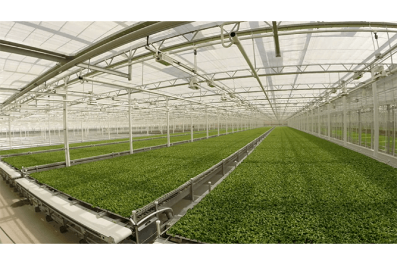 Little Leaf Farms is entering expansion mode with the help of Bank of America.