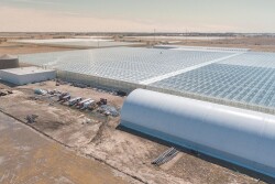 NatureFresh Farms is expanding greenhouse acreage.