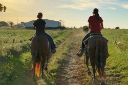 Wareham's daughters helped him gather and sort cows recently.