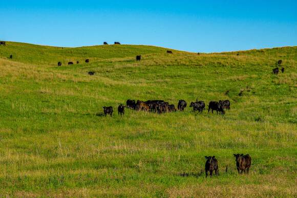 Minnechaduza Creek Ranch