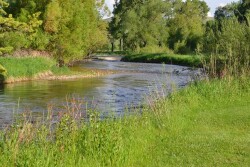 "Were the court tasked with the question of whether the new rule represents wise environmental policy or the best approach to protecting water resources that could be supported by scientific data, the result might be different," Seeborg wrote.