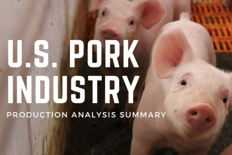 US Production Analysis Summary