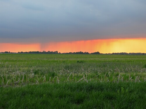 LindseyBenne-RainInTheDistance.jpg