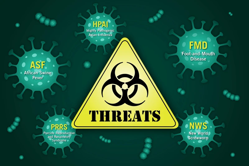 5 Livestock Diseases That Could Impact U.S. Food Security and Economic Stability