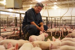 "It's our job to protect our farm," says Barb Determan. "It's really important that we as producers take that responsibility – that we take it on personally and take it on daily."