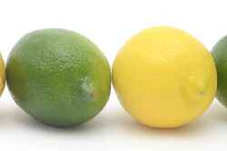 Mexican limes may see an expanded supply by late April.