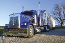 Livestock Hauler