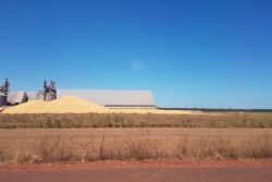 CornPiles-Brazil