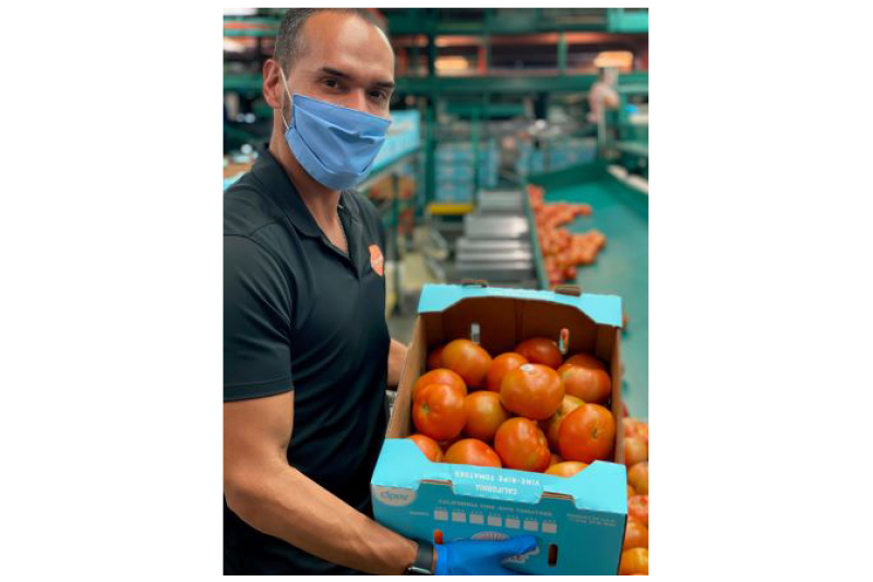 Oppy senior sales representative James Galindo displays Oceanside Pole tomatoes.