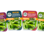 Revol Greens salad kits WEB.png
