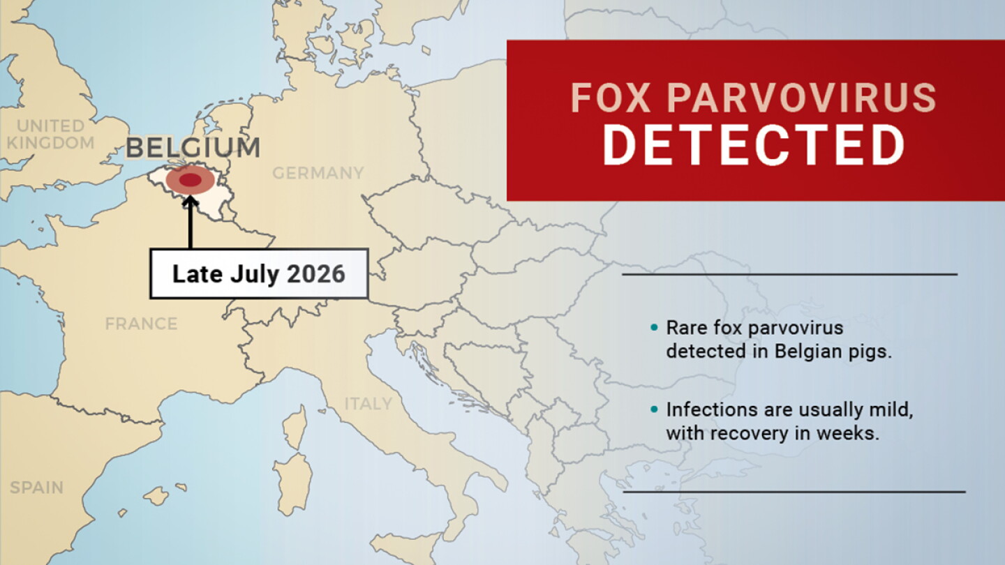 Fox Parvovirus: New Disease Appears on Global Swine Health Radar