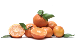 C617E293-0EAB-48CC-B52E9E16B346DDAA.png