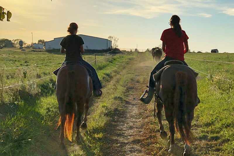 Wareham's daughters helped him gather and sort cows recently.