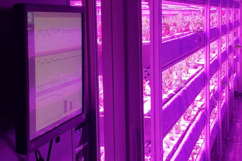  Crop One Holdings won a global award for its innovation in indoor growing.