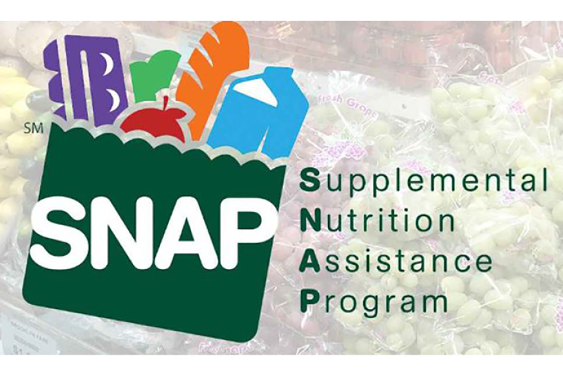 The image and text logo for USDA's Supplemental Nutrition Assistance Program, which involves a stylized grocery bag full of staple kitchen items, overlaid on a photo of grapes.