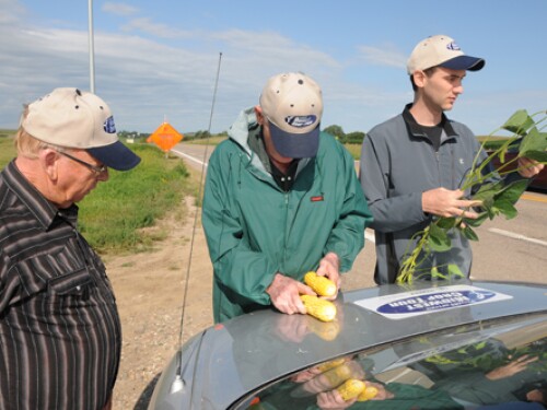 Crop Tour Sampling