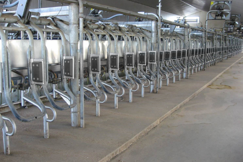 Nedap Livestock Management