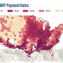 U.S. farmers are currently receiving MFP payments for 2019, but should you bank on payments in 2020? What would that do to land values and land rent discussions? John Phipps explains in John's World.
