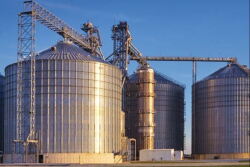 U.S. soybean growers who are starting to harvest what’s predicted to be a bumper crop probably will look to weather the trade war with China by stashing away the oilseed, according to agribusiness giant Bunge Ltd.