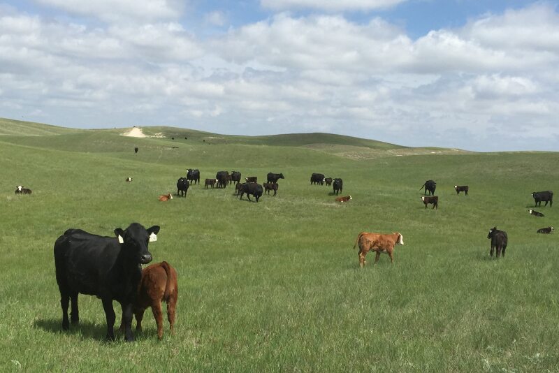 AL Ranch, NE