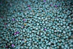Bayer_Monsanto_Seeds_Bloomberg