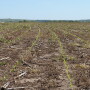 For 2019, the national average for cash rents on cropland is $140 per acre, which is up $2 from 2018’s national average of $138. 