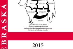 file47806