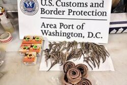 US CBP Seizures at Dulles Airport in August 2023