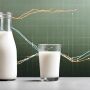 Milk production remains strong despite lower cow numbers due to milk production per cow holding well. Culling has not yet increased as much as anticipated. 