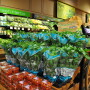 Soli Organic Expands Operations