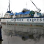 Eldon Krebs and Loading Boats dark