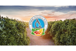 citrus research board