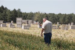 Cliff Riner pictured during Vidalia onion harvest.
