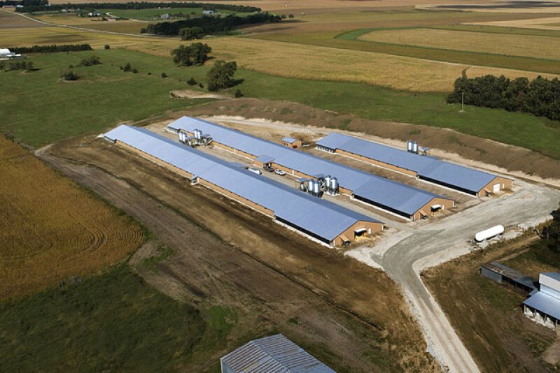 Activists are trying to temporarily stop new livestock operations from forming in Nebraska.