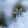 snowflake-1245748_1920_0.jpg