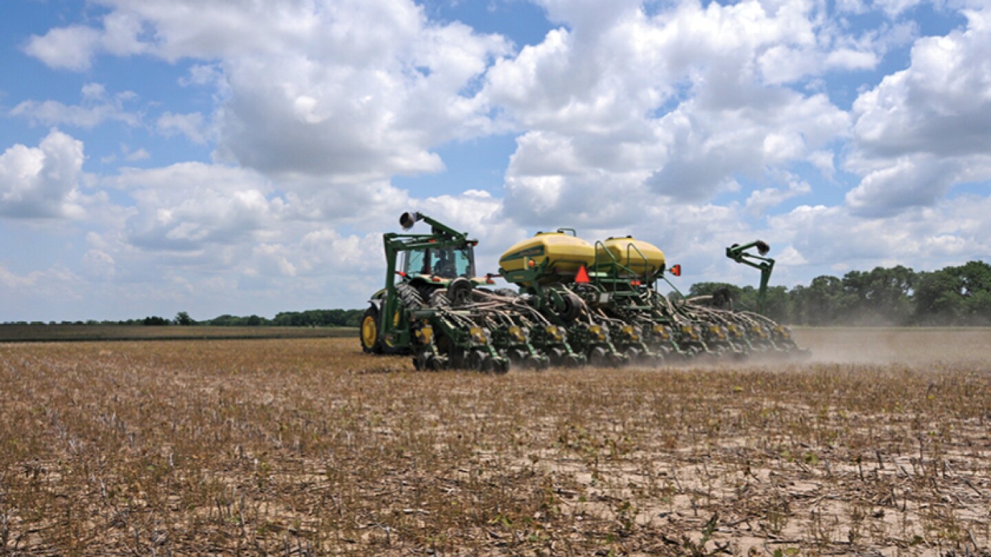 How the Bridge Payments Might Impact 2026 Planting Decisions - AgWeb