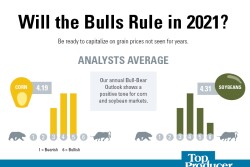 2021 Bull-Bear Outlook