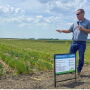 camelina seed resized.jpg